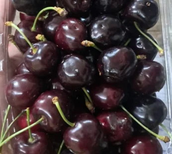 cherry ( Himachal )