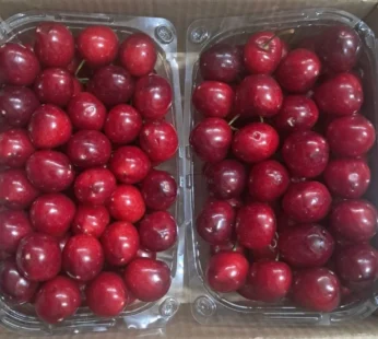 cherry Jumbo
