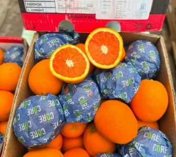 Valencia Orange (Seedless) – 1kg