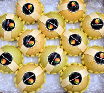Korean Pear – 3pcs