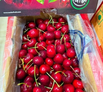 Turkey Cherry Jumbo