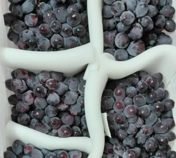Black grapes – 1kg