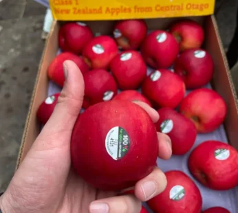 Newzealand Fuji – 1kg