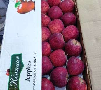 Kinnaur Apple – 10 Kg Box