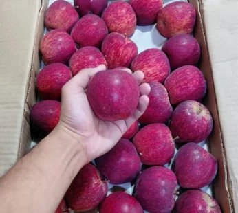 Kinnaur Apple – 1kg
