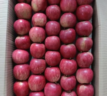 Kinnaur Apple – 1kg ( small )
