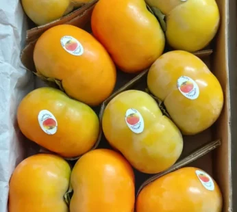 Persimmon Gift Pack